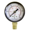Cleanflow 4" Dry Pressure Gauges | Ltd Size Selection
