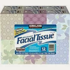Cleanflow Premium 3 Ply Facial Tissue | 100/Box | CS/12