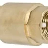 Greenline Brass Spring Loaded In-Line Check Valve | 3/8" To 2" NPT Fittings And Valves