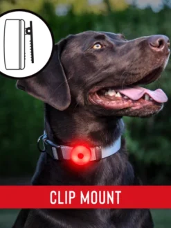 Coast Products Coast® SL1R Rechargeable Red Safety Light