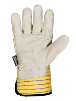 Horizon Thinsulate Lined Cotton Back Cowhide Winter Gloves | Pack Of 6 Pairs