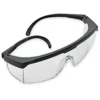 Personal Protective Equipment Sellstrom Serbing Safety Glasses - Clear Tint