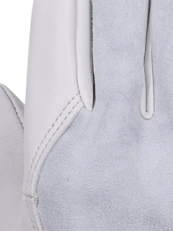 Pioneer 535G Beige Goatskin Driver Gloves | Pack Of 12 Pairs